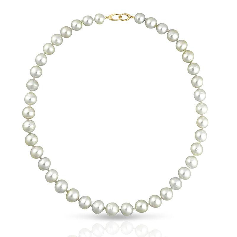 South Sea Strand Collier Necklace - CIRCLED  45cm - STNESSYGCL001 - NANIHI  TAHITIAN  PEARLS